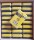 48x Topps Soccer Borussia Dortmund BVB Team Set 2020-21 Pack Booster