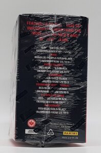 Panini Eintracht Frankfurt Team Collection 2023-24 Regular Box