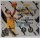 Panini Select 2024-25 NBA Basketball Hobby Box
