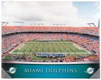 Miami Dolphins Artissimo Gradient Sun Life Stadium...